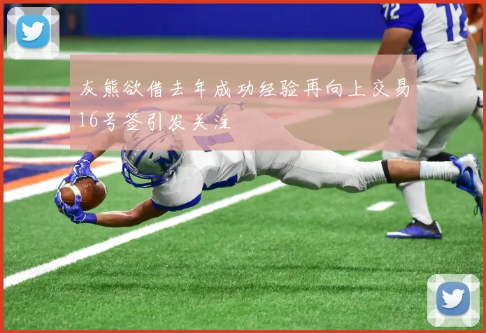 灰熊欲借去年成功经验再向上交易16号签引发关注